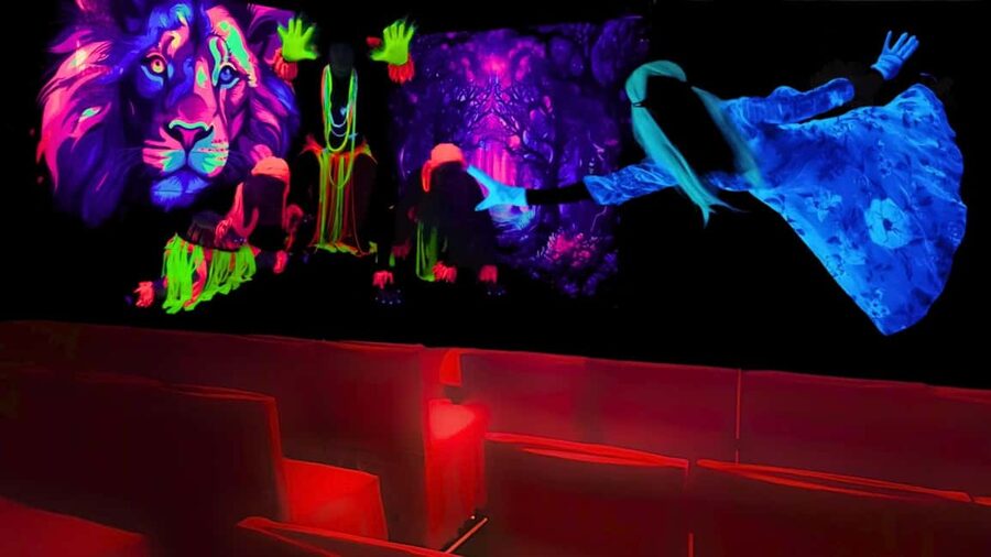 Prague: Images of Love Black Light Theatre Show - Practical tips so you enjoy the show from the start
