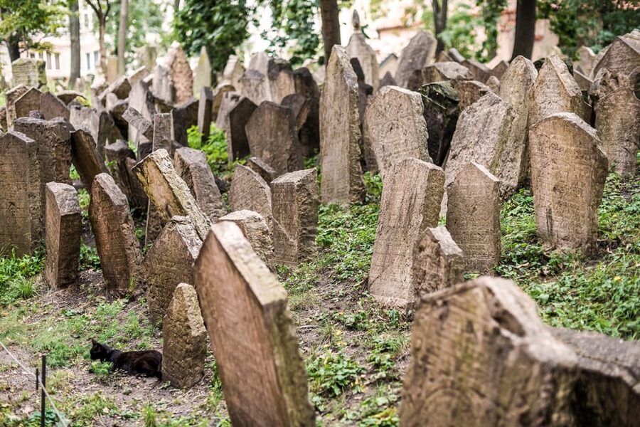 Prague: Jewish Quarter Walking Tour with Admission Tickets - Price and value: does $76 make sense for this circuit?