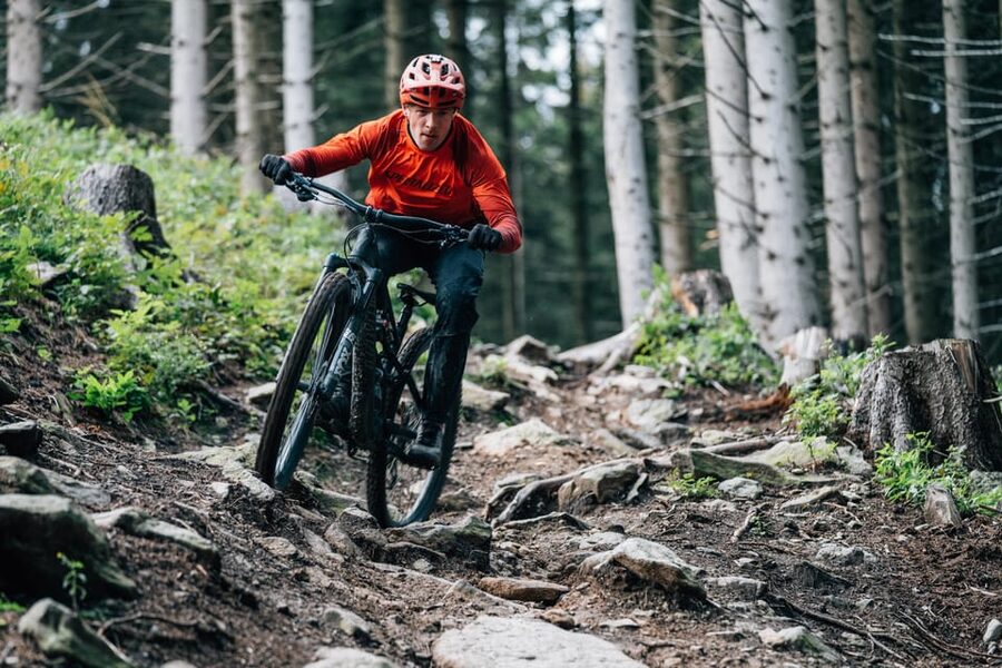 Prague Mountain Biking: Blast Through The Best Singletracks - Quick Hits Before You Ride