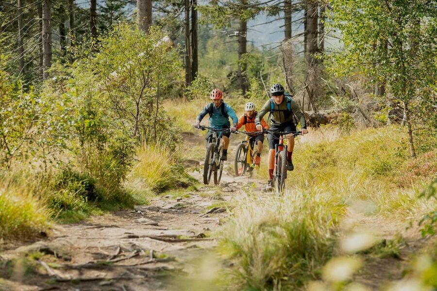Prague Mountain Biking: Blast Through The Best Singletracks - Getting Back to Prague: Short Trains and One Last Treat