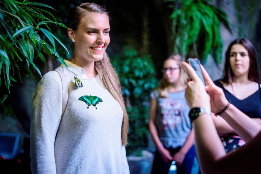 Prague: Papilonia Butterfly House - What the walkthrough feels like, no barriers and a real flight zone