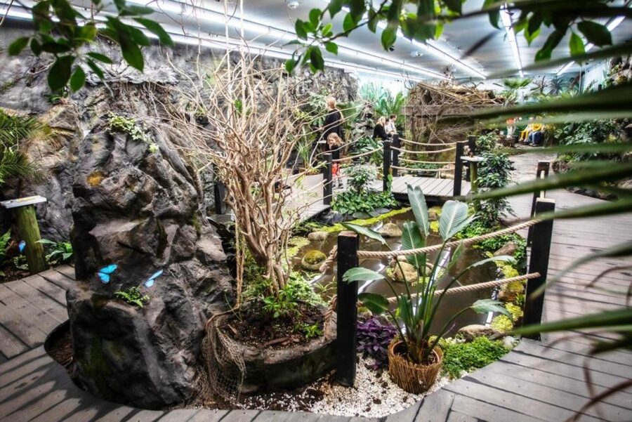 Prague: Papilonia Butterfly House - Hundreds of tropical butterflies, including up to 20 cm wingspans