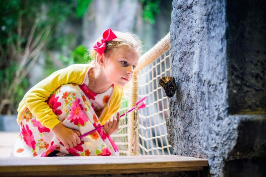 Prague: Papilonia Butterfly House - How to get the best landings for your photos