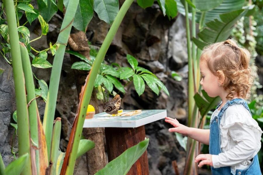 Prague: Papilonia Butterfly House - Room size, warmth, and the main drawback to plan around