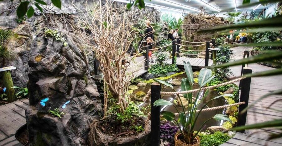 Prague: Papilonia Butterfly House - Why Papilonia runs all year under artificial lighting