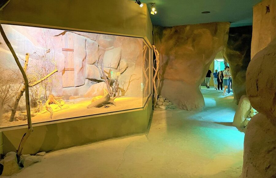 Prague: Prague Zoo Audio Guide with E-Ticket - Key points I’d focus on