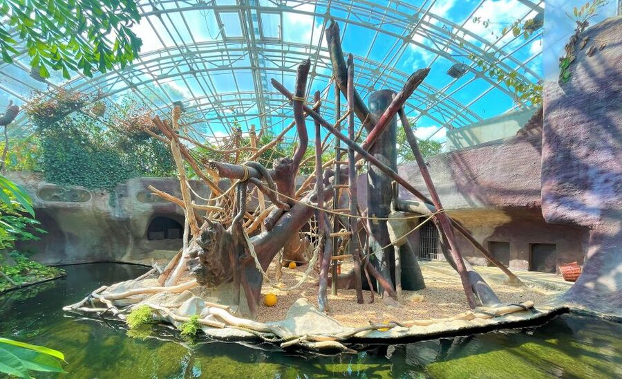 Prague: Prague Zoo Audio Guide with E-Ticket - Comfort Inside the Grounds: Toilets, Food Stops, and Sitting Breaks
