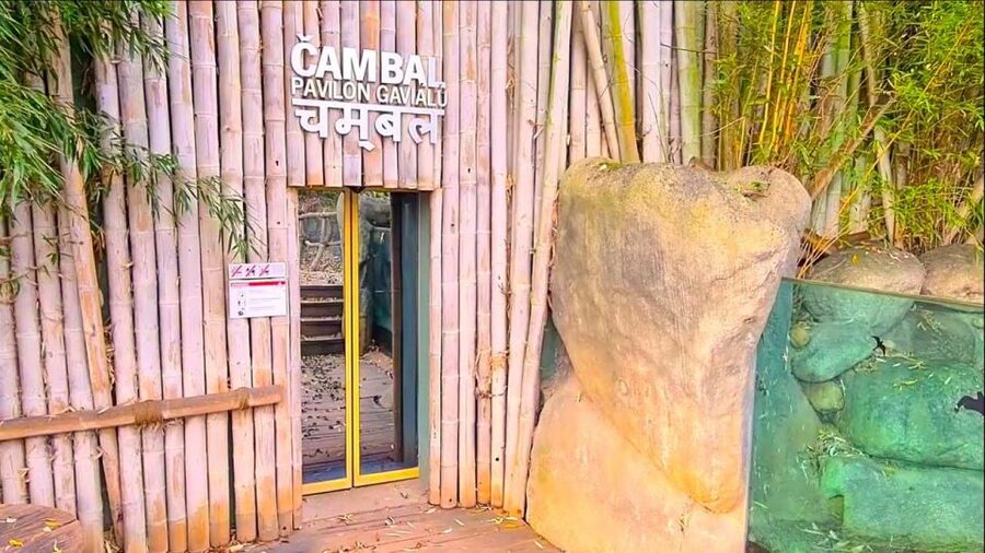 Prague: Prague Zoo Audio Guide with E-Ticket - Getting the Most Out of Animal Viewing Without Feeling Lost
