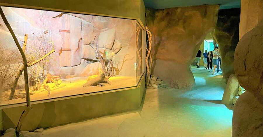 Prague: Prague Zoo Audio Guide with E-Ticket - Price and Value: What $22 Gets You (and What It Doesn’t)