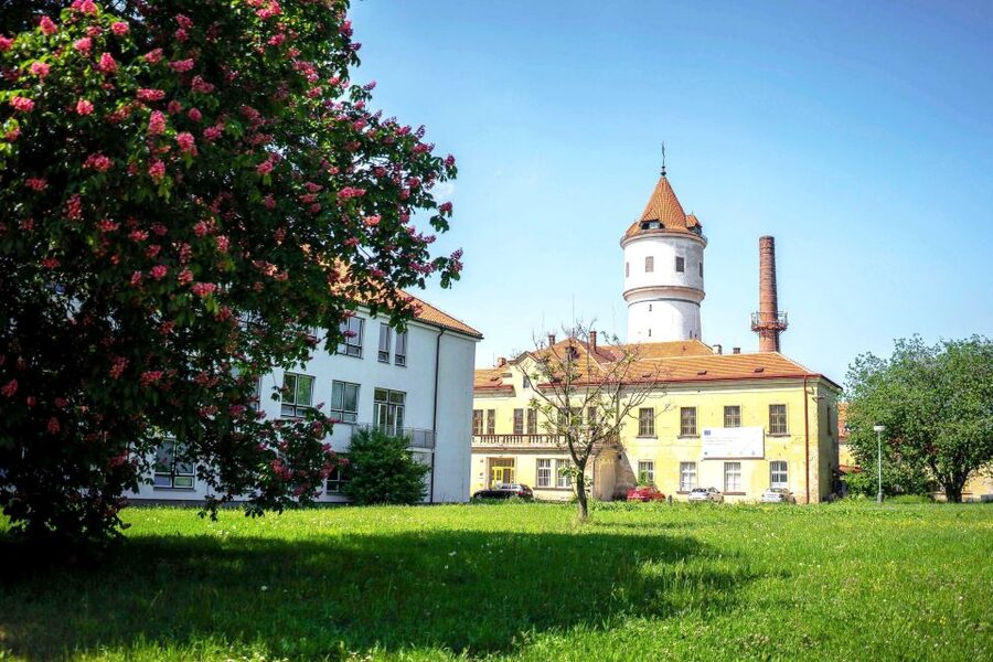 Prague: Psychiatric Hospital and Abandoned Cemetery Tour - Key highlights you should care about