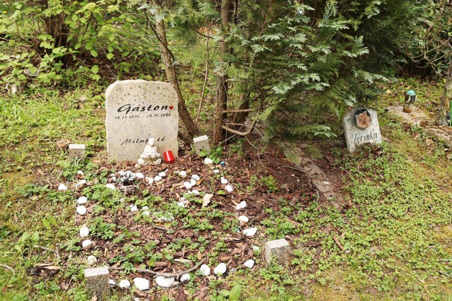 Prague: Psychiatric Hospital and Abandoned Cemetery Tour - Getting there without stress: metro plus bus
