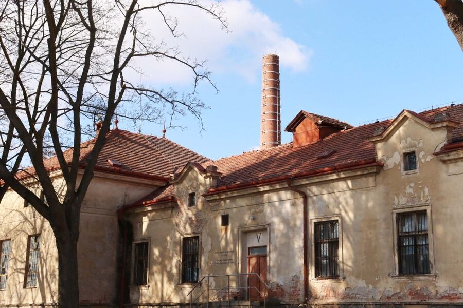 Prague: Psychiatric Hospital and Abandoned Cemetery Tour - Who this tour is for, and who should skip it