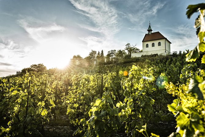 Prague´s Hidden Vineyards Private Tour - Price and Value: What You’re Paying For