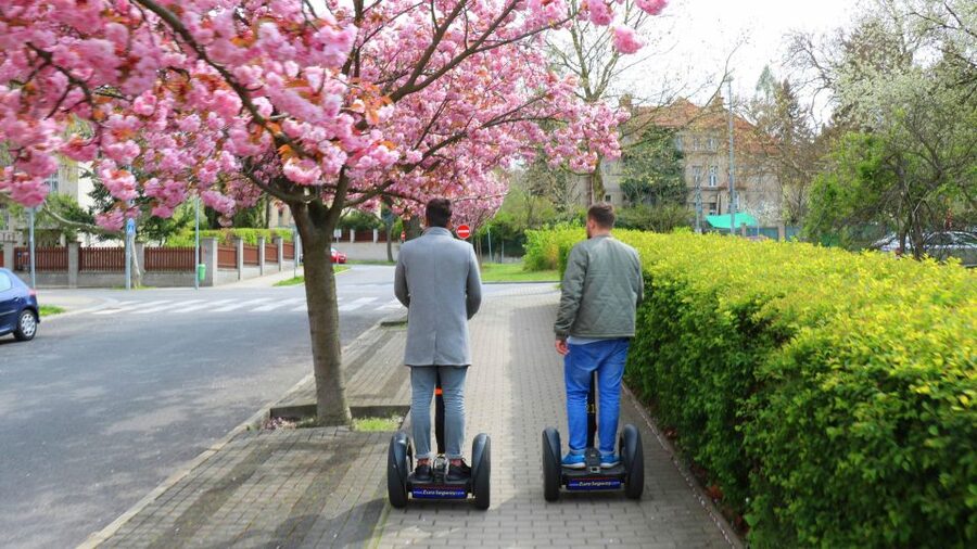 Prague: Segway Sightseeing Live-Guided Tour - Maxe van der Stoela Park and Prague’s park-style pace