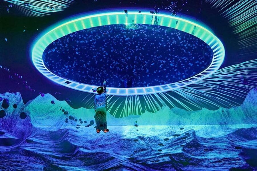 Prague: The World Of Jellyfish Entry Ticket w/ Drink - 38 aquariums and 30+ jellyfish species: how to pace the route