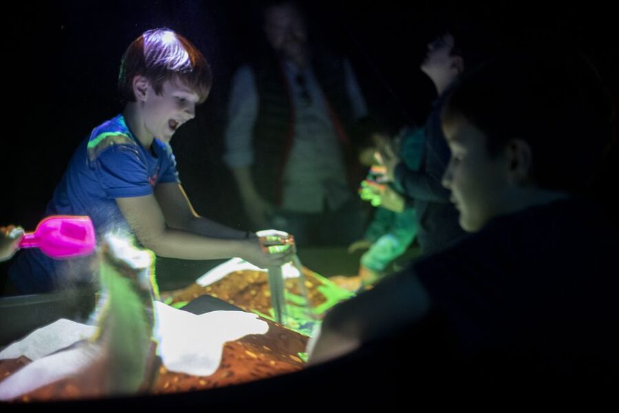 Prague: Ticket to Audiovisual Light Art at Lumia Gallery - What Lumia Gallery Is, and Why It Feels Different