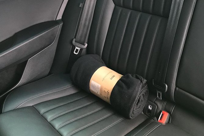 Prague to Karlovy Vary Private Transfer - Coffee stop control, plus real help with luggage
