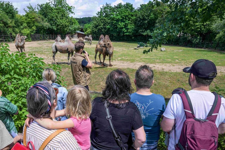 Prague Zoo: Skip-the-Line Entry Ticket - Food, toilets, and pacing for a long day at the zoo