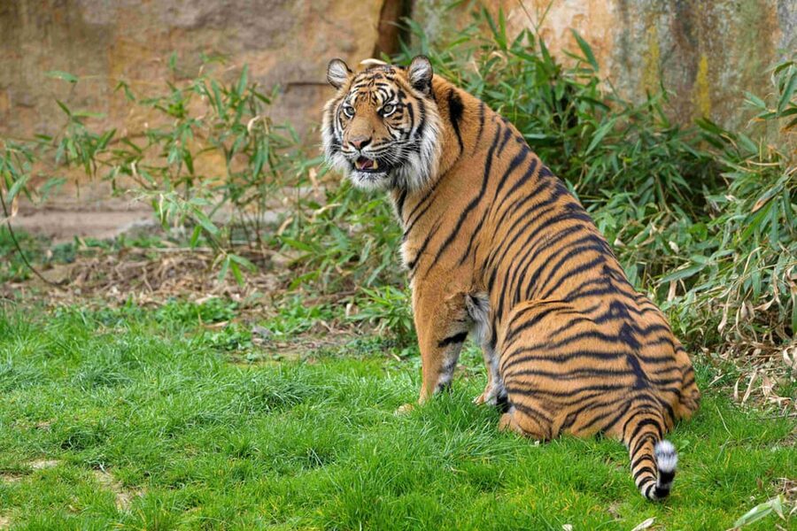 Prague Zoo: Skip-the-Line Entry Ticket - Getting the timing right with Prague Zoo’s seasonal hours