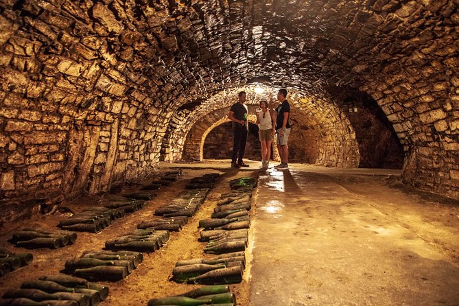Private Bohemia Wine Tour from Prague with Gourmet Tastings - Why Bohemia beats a basic Prague day trip