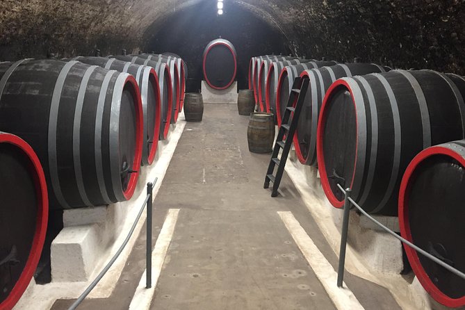 Private Bohemia Wine Tour from Prague with Gourmet Tastings - Stop 2: Žalhostice at Vinařství Pod Radobýlem, volcanic slopes and modern techniques