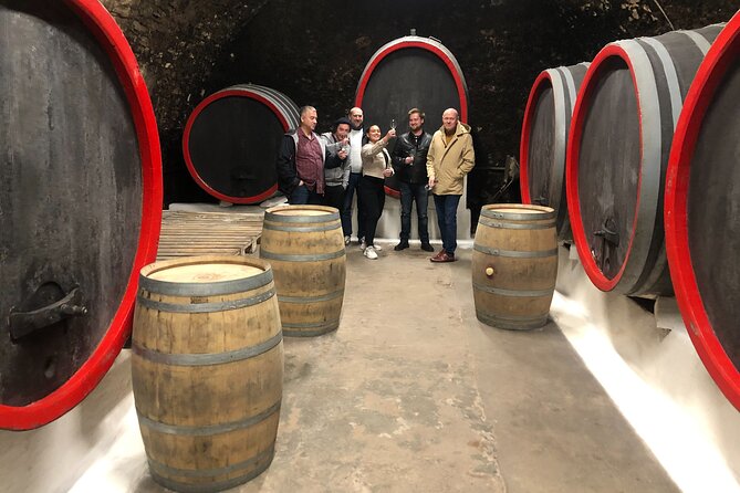 Private Bohemia Wine Tour from Prague with Gourmet Tastings - Stop 3: Chateau Velké Zernoseky, medieval cellars plus a 2-course Czech lunch