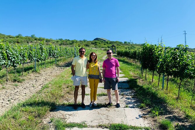 Private Bohemia Wine Tour from Prague with Gourmet Tastings - Price and logistics: what you are actually paying for