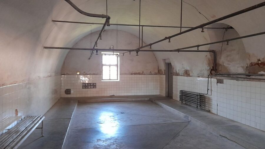 Private Half-Day Tour To Terezin Concentration Camp - Terezín in Five Hours: What You Actually Get From This Private Format