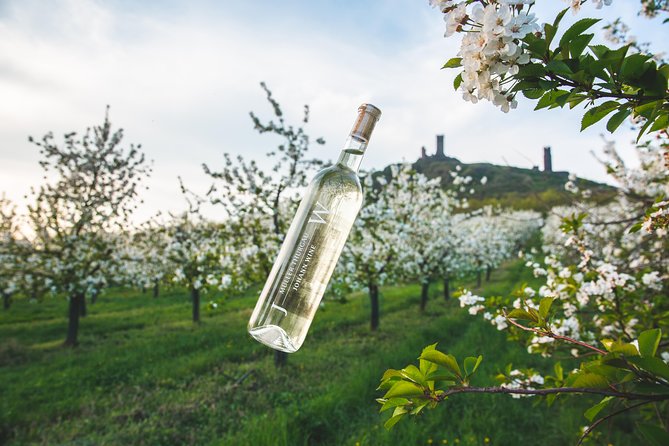 Private PICNIC in Bohemian Vineyards and Wine Tasting 4WD Tour - Key highlights at a glance