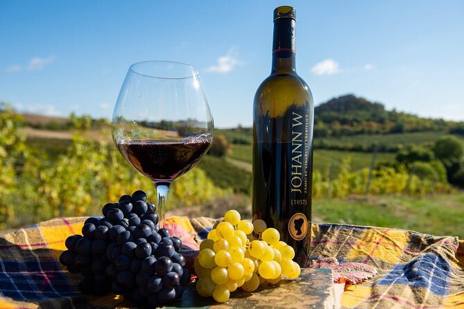 Private PICNIC in Bohemian Vineyards and Wine Tasting 4WD Tour - Private 4WD to the Bohemian Vineyards, not Prague Streets