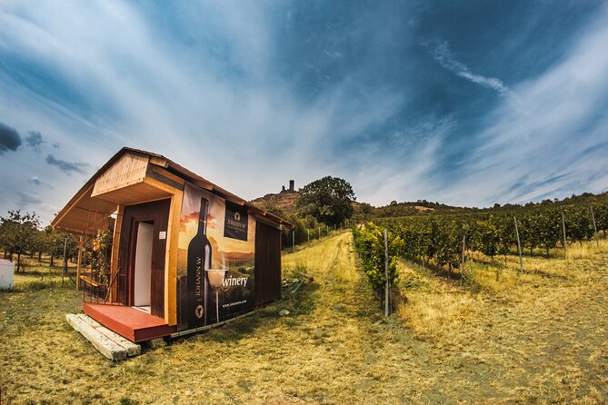 Private PICNIC in Bohemian Vineyards and Wine Tasting 4WD Tour - Off-road countryside stops, Czech garnet searching, and small-history moments