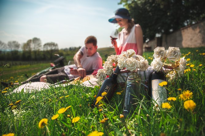 Private PICNIC in Bohemian Vineyards and Wine Tasting 4WD Tour - Johann W in Trebívlice: cellar time and wine tasting with a local sommelier