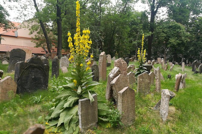 Private Stories of Jewish Prague Walking Tour - Jewish Museum in Prague: the big “how we know” stop