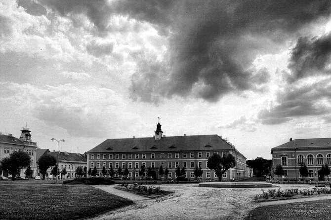 Private Terezin Nazi camp tour from Prague All-Inclusive - Who this tour suits best