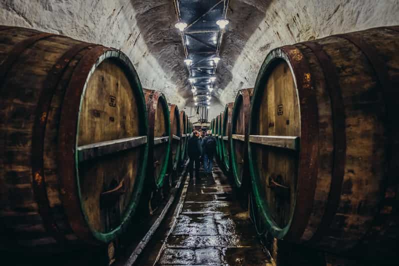 Private Tour to Pilsner Urquell from Prague - Beer samples: how to get more out of each tasting