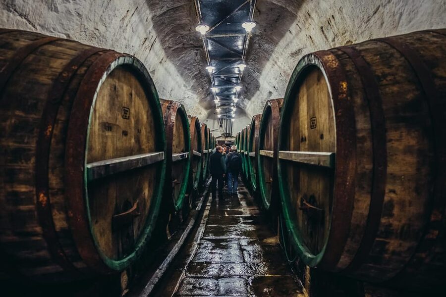 Private Tour to Pilsner Urquell from Prague - The private guide factor: why it feels different