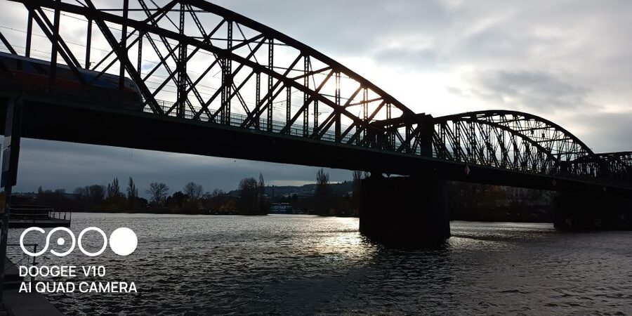Real life in Prague - Easy Walk from Vysehrad to Vyton - Bison in the picture: why the dog makes it better for the right traveler