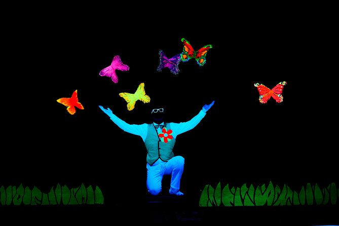 Skip the Line: WOW Show Black Light Theater in Prague Ticket - Who should book this show and who should skip