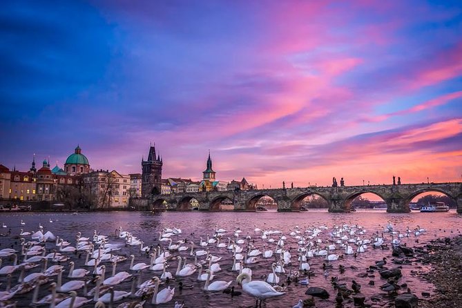 Small-Group Walking Photo Tour of Prague - Powder Tower Start, Old Town Bridge Tower Finish: A Simple Path