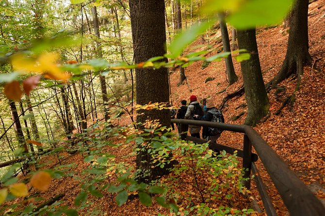 VIP Best Reviews: Bohemian & Saxon Switzerland from Prague - Pravčická brána hike: Europe’s biggest sandstone arch, with a real workout