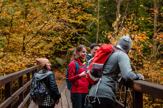 VIP Best Reviews: Bohemian & Saxon Switzerland from Prague - Tisá Rocks in winter: Narnia sandstone maze, with “fairly easy” vibes