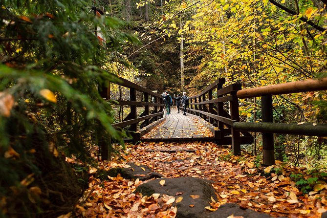 VIP Best Reviews: Bohemian & Saxon Switzerland from Prague - Small-group touring with Northern Hikes: what max 7 really means