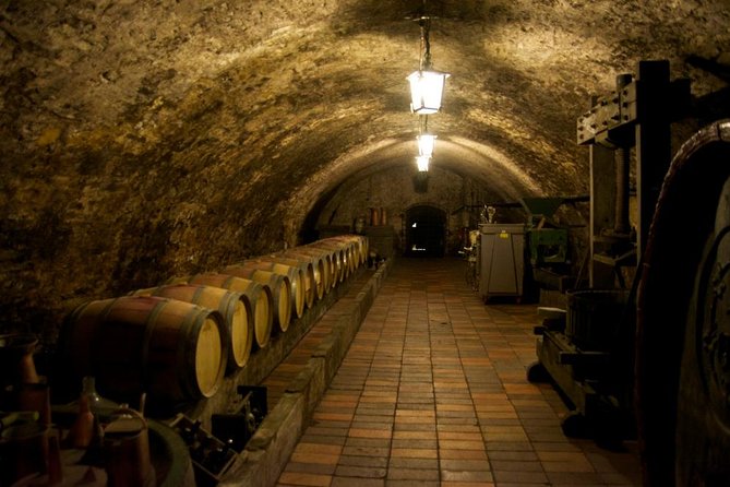 Wine Tasting Day Trip from Prague to Melnik - Key highlights at a glance